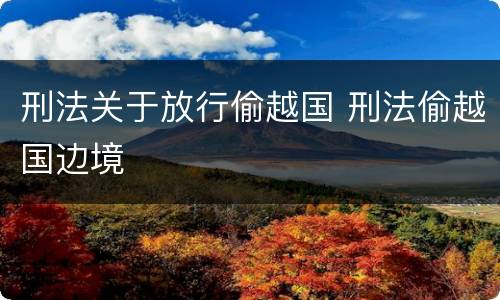 刑法关于放行偷越国 刑法偷越国边境