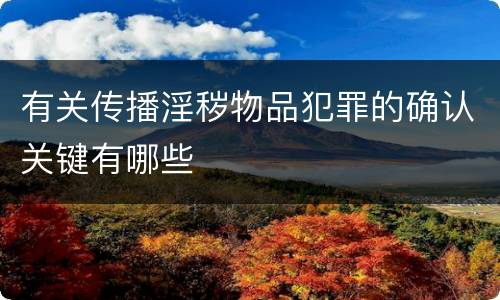 有关传播淫秽物品犯罪的确认关键有哪些
