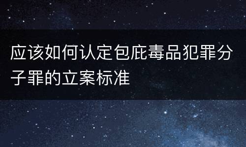 应该如何认定包庇毒品犯罪分子罪的立案标准