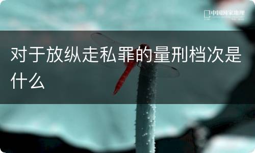 对于放纵走私罪的量刑档次是什么