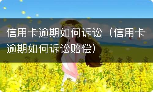 信用卡逾期如何诉讼（信用卡逾期如何诉讼赔偿）