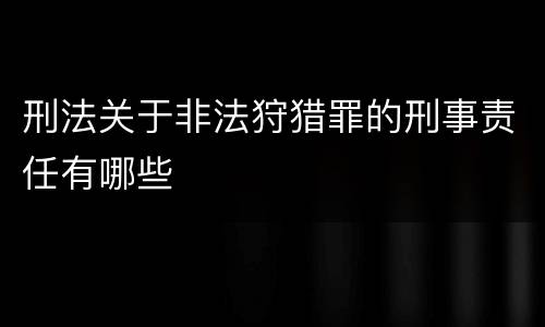 刑法关于非法狩猎罪的刑事责任有哪些