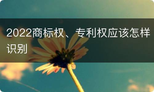 2022商标权、专利权应该怎样识别