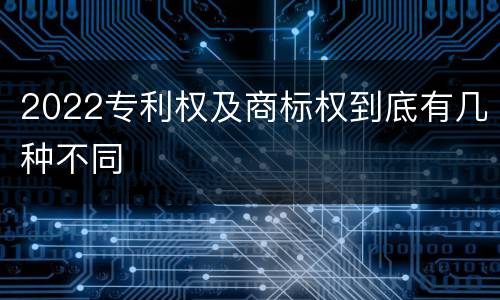 2022专利权及商标权到底有几种不同