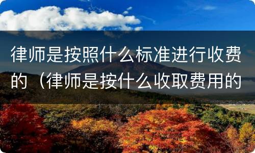 律师是按照什么标准进行收费的（律师是按什么收取费用的）