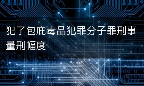 犯了包庇毒品犯罪分子罪刑事量刑幅度