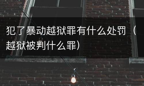 犯了暴动越狱罪有什么处罚（越狱被判什么罪）