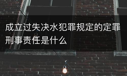 成立过失决水犯罪规定的定罪刑事责任是什么