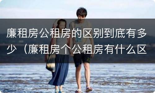 廉租房公租房的区别到底有多少（廉租房个公租房有什么区别）