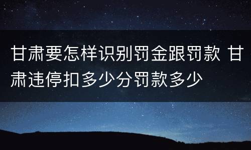 甘肃要怎样识别罚金跟罚款 甘肃违停扣多少分罚款多少