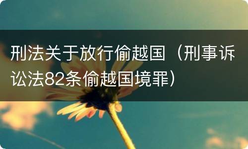 刑法关于放行偷越国（刑事诉讼法82条偷越国境罪）