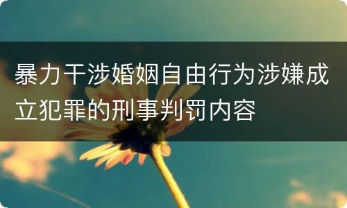 暴力干涉婚姻自由行为涉嫌成立犯罪的刑事判罚内容