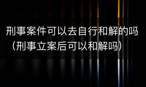 刑事案件可以去自行和解的吗（刑事立案后可以和解吗）