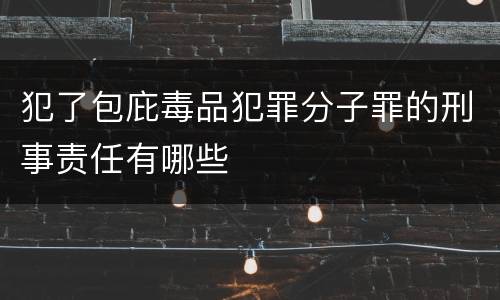 犯了包庇毒品犯罪分子罪的刑事责任有哪些