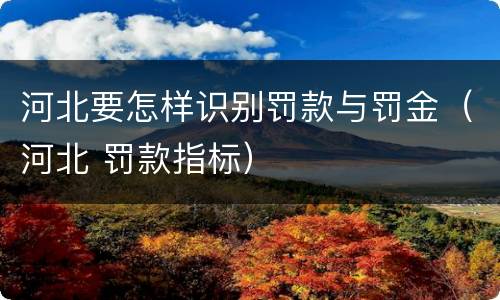 河北要怎样识别罚款与罚金（河北 罚款指标）