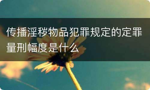 传播淫秽物品犯罪规定的定罪量刑幅度是什么