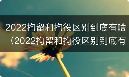2022拘留和拘役区别到底有啥（2022拘留和拘役区别到底有啥不一样）