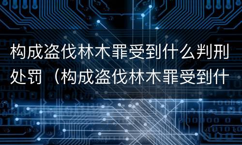 构成盗伐林木罪受到什么判刑处罚（构成盗伐林木罪受到什么判刑处罚决定）
