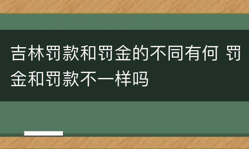 吉林罚款和罚金的不同有何 罚金和罚款不一样吗
