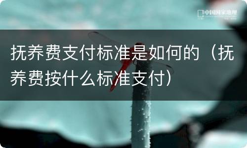 抚养费支付标准是如何的（抚养费按什么标准支付）