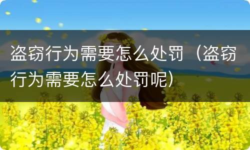 盗窃行为需要怎么处罚（盗窃行为需要怎么处罚呢）