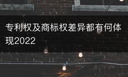 专利权及商标权差异都有何体现2022