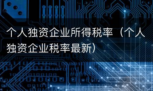 个人独资企业所得税率（个人独资企业税率最新）