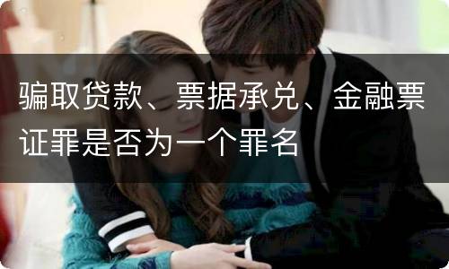 骗取贷款、票据承兑、金融票证罪是否为一个罪名