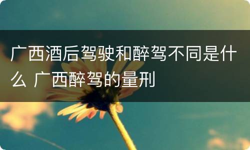 广西酒后驾驶和醉驾不同是什么 广西醉驾的量刑
