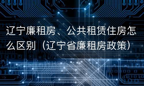 辽宁廉租房、公共租赁住房怎么区别（辽宁省廉租房政策）