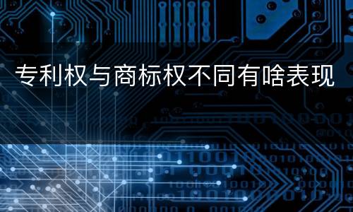 专利权与商标权不同有啥表现