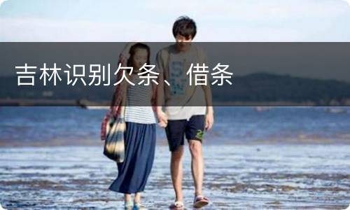 吉林识别欠条、借条