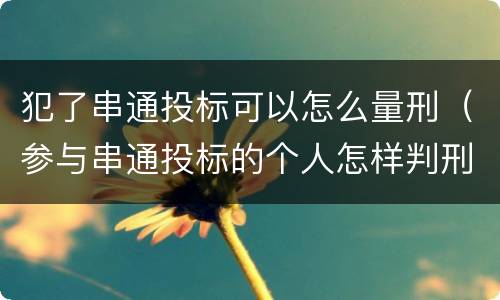 犯了串通投标可以怎么量刑（参与串通投标的个人怎样判刑）