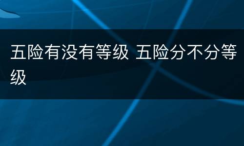 五险有没有等级 五险分不分等级