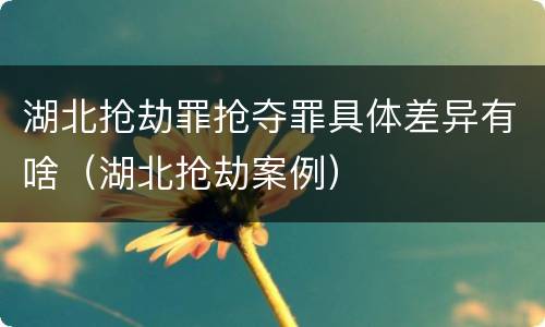 湖北抢劫罪抢夺罪具体差异有啥（湖北抢劫案例）