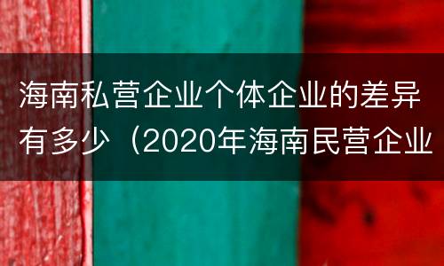 海南私营企业个体企业的差异有多少（2020年海南民营企业100强）