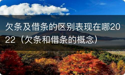 欠条及借条的区别表现在哪2022（欠条和借条的概念）