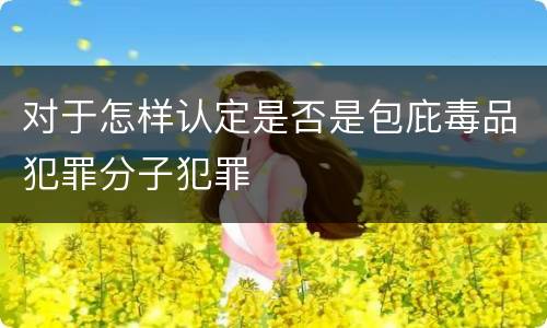 对于怎样认定是否是包庇毒品犯罪分子犯罪