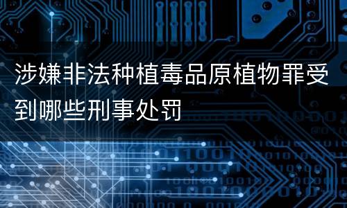 涉嫌非法种植毒品原植物罪受到哪些刑事处罚