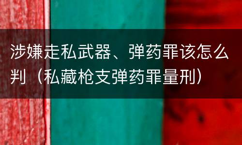 涉嫌走私武器、弹药罪该怎么判（私藏枪支弹药罪量刑）
