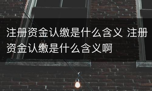 注册资金认缴是什么含义 注册资金认缴是什么含义啊