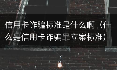 信用卡诈骗标准是什么啊（什么是信用卡诈骗罪立案标准）
