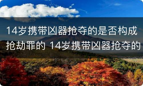 14岁携带凶器抢夺的是否构成抢劫罪的 14岁携带凶器抢夺的是否构成抢劫罪的量刑标准