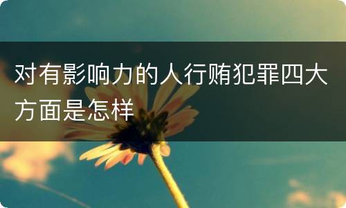 对有影响力的人行贿犯罪四大方面是怎样