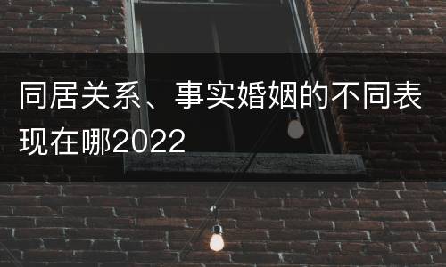 同居关系、事实婚姻的不同表现在哪2022