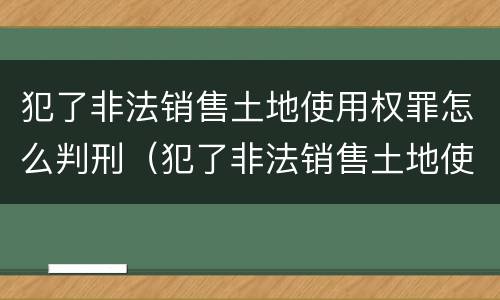 犯了非法销售土地使用权罪怎么判刑（犯了非法销售土地使用权罪怎么判刑呢）