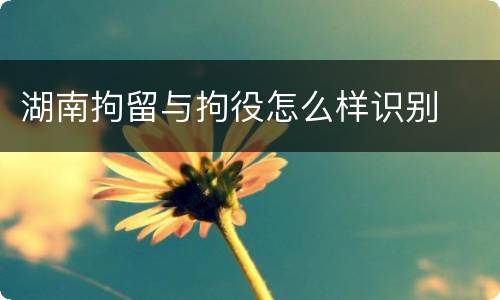 湖南拘留与拘役怎么样识别