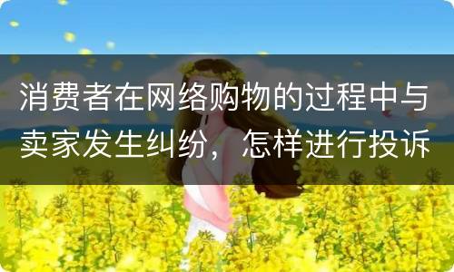 消费者在网络购物的过程中与卖家发生纠纷，怎样进行投诉