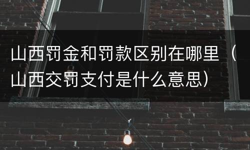 山西罚金和罚款区别在哪里（山西交罚支付是什么意思）