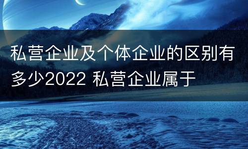 私营企业及个体企业的区别有多少2022 私营企业属于